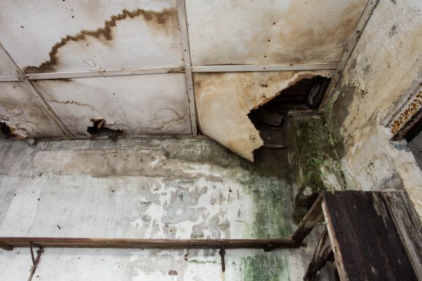 Cost of Water Damage Service in Decatur
