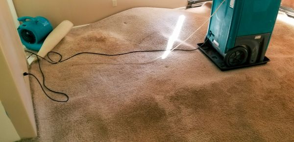 Cost of Flood Damage Cleanup in Decatur
