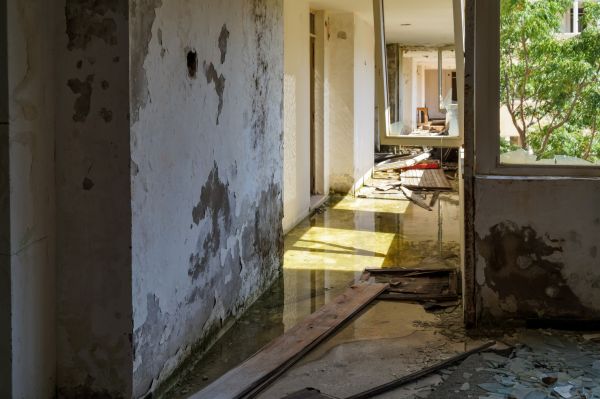 Cost of Water Removal Service in Decatur