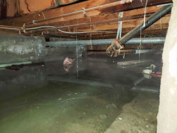 Cost of Crawlspace Water Restoration in Decatur